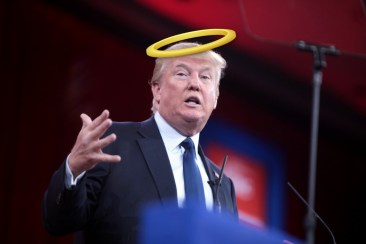 trump-halo